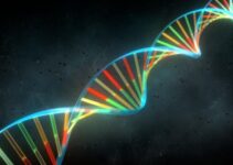 Epigenética: Puedes Cambiar tu ADN